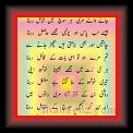 Zahid Ghazal 02 * 04.05.2007 * 341 x 524 * (27KB)